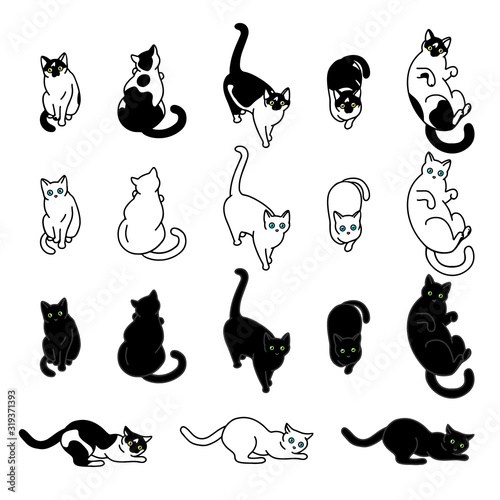 Cute black and white cats set, funny pet collection, vector illustration