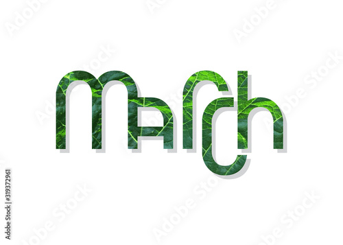 Geometric shape word March with leaf texture photo