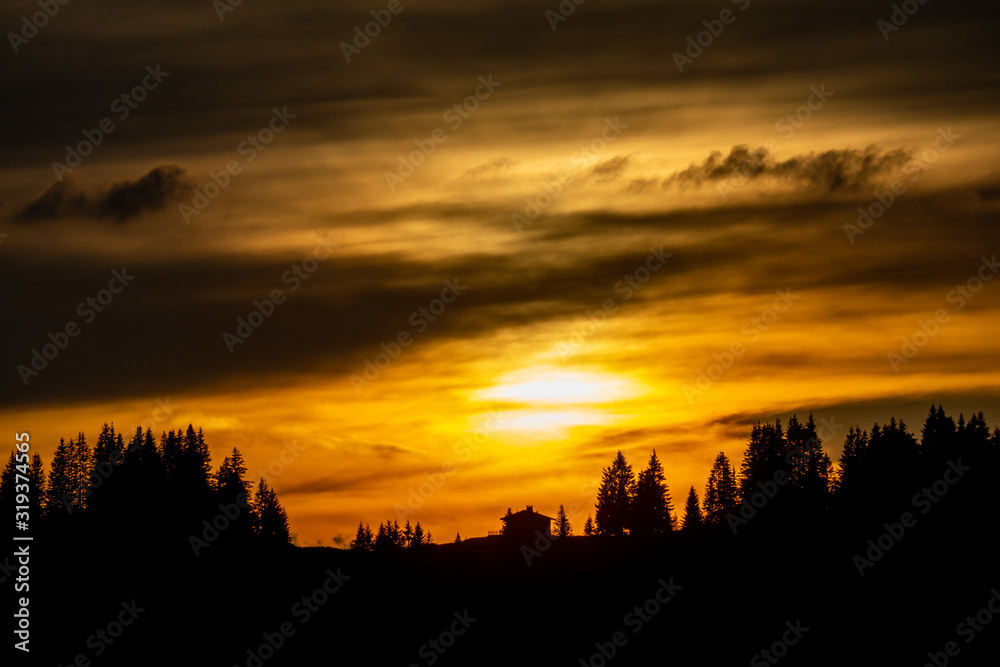 Sunset over Alpine Trees near Morzine, France.