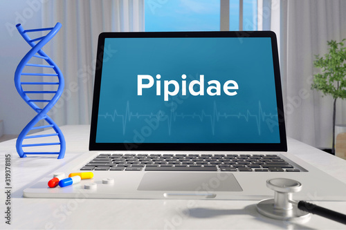 Pipidae– Medicine/health. Computer in the office with term on the screen. Science/healthcare photo