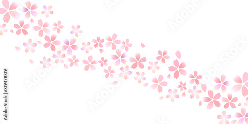 桜　春　花　背景