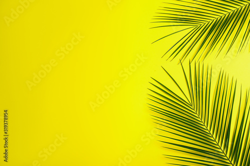 Fototapeta Beautiful lush tropical leaves on yellow background