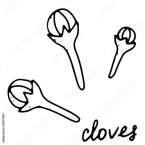 Hand drawn isolated indian food icon. Black outline illustration of indian spice. Cloves icon