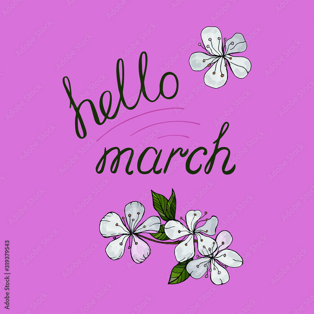 Spring composition with flowers on the branches of an apple tree. Ink inscription: Hello, March. Gentle mood for postcards, posters, t-shirts, prints, web. Isolated vector illustration elements.