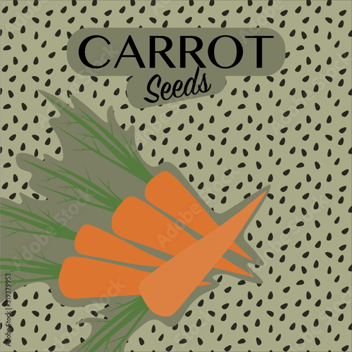 Flat design packaging for seeds of vegetables in vector with copy space. Carrot seeds
