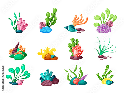 underwater plants. seaweed and seashells from ocean or sea life tropical laminaria exotic leaves in aquarium. vector set