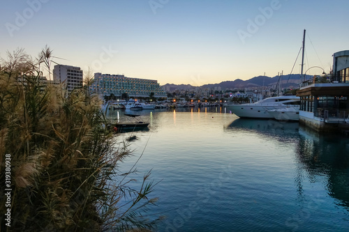 Marina at night