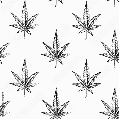 Cannabis leaves seamless pattern. Hand-drawn ink hemp for banner design, packaging and scrapbooking paper. Legalize marijuana. Stock vector illustration isolated on transparent background.