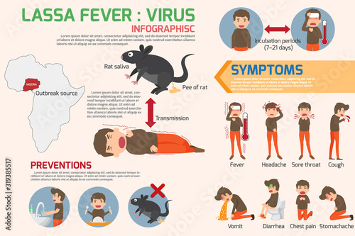Lassa fever virus infographics elements. Lassa fever symptoms and prevention. health and medical concept vector illustration. photo