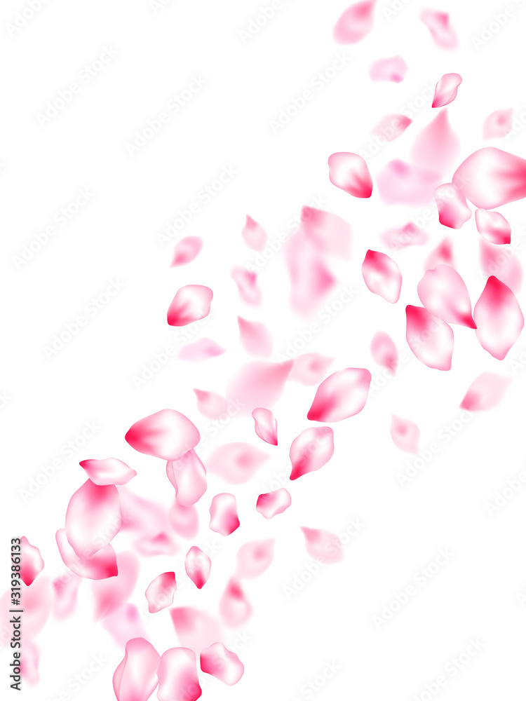 Spring tree flowers parts, airy flying petals Spring tree flowers parts, airy flying petals