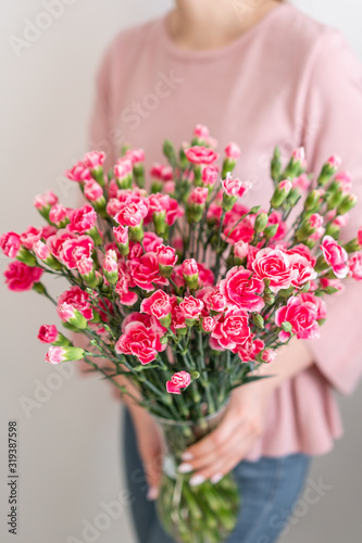 Petals of pink spray carnation in woman hand. Unusual flowers dianthus . Spring flower pattern