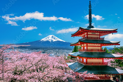 Cherry blossoms in spring, Chureito pagoda and Fuji mountain in Japan. photo