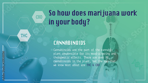 so how does marijuana work in your body is poster infographic