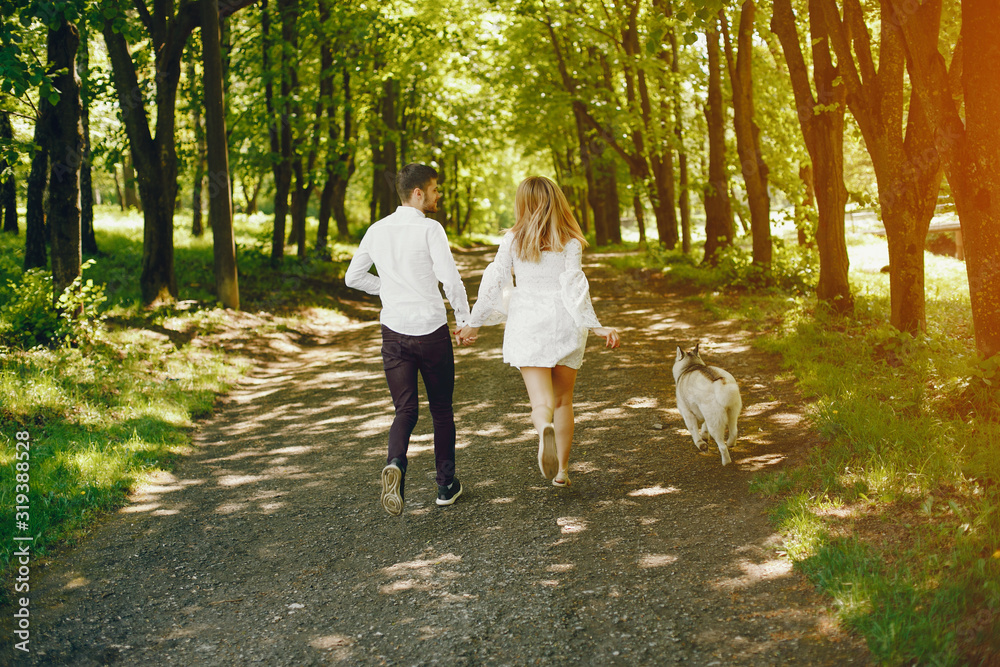 Fototapeta premium A beautiful and gentle girl with light hair and a white dress is walking in a sunny summer forest with her handsome guy in a white shirt and dark pants and they playing with cute gray dog