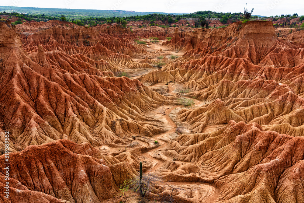 Desert Tatacoa Desierto de la Tatacoa, Colombia foto de Stock Adobe