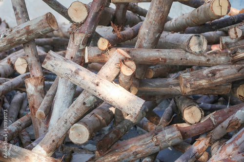 Fotografie Cut logs pile used in dark tone