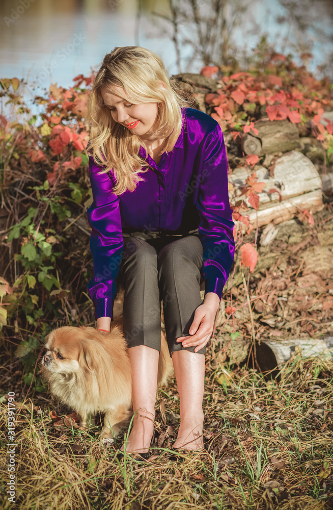 Human with a little golden dog, concept of friendship doggy and girl Human with a little golden dog, concept of friendship doggy and girl