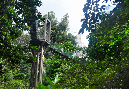 Photography Canopy walkway in KL Forest Eco Park. Kuala Lumpur, Malaysia