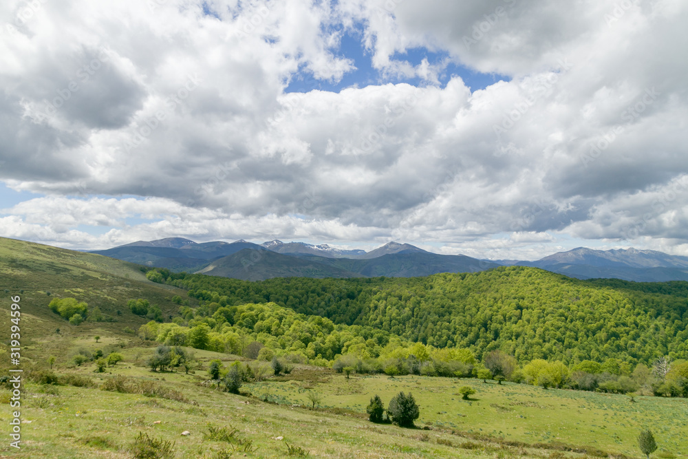 Fototapeta premium Forests, mountains and cloudy sky