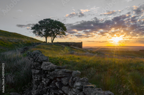 Obraz na plátně Sunrise Top Withens, Haworth