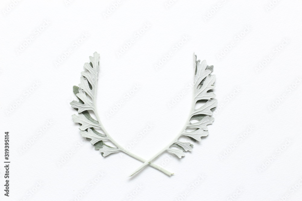 Obraz premium Frame made of green leaves on paper background.