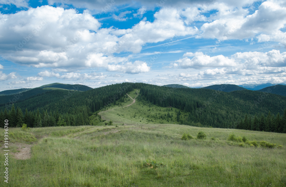 Summer in Carpathians. Blue sky and clouds. Ukraine. 