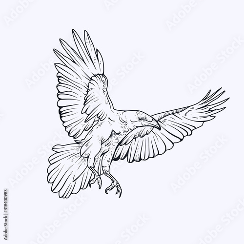 Crow in flight. Simple outline illustration vector