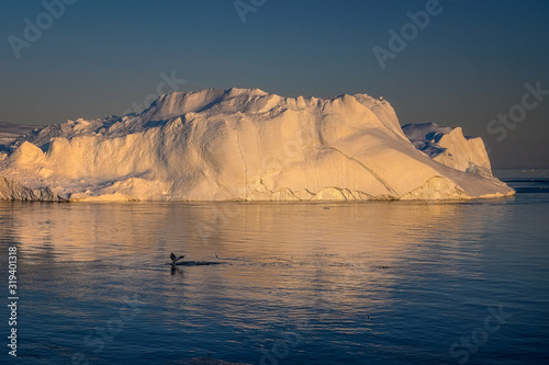 Wallpaper Mural West Greenland Ilulissat Jakobshavn Jacobshaven whale keporkak Torontodigital.ca