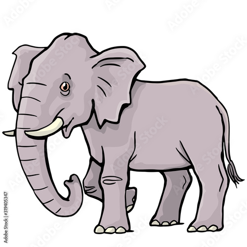 elephant walking free