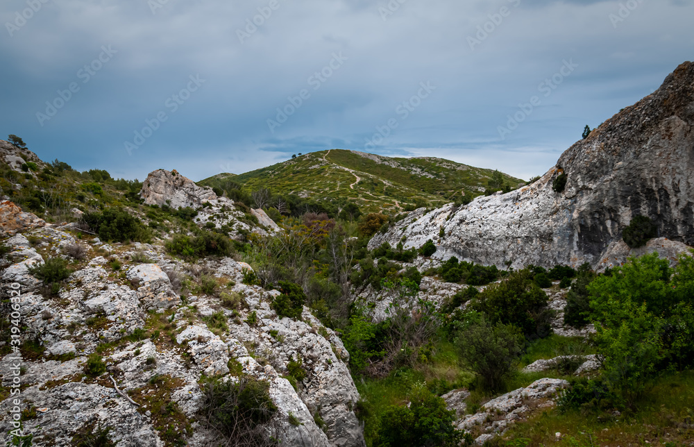 Rolling wild countryside in the alpilles, provence ,south of France.