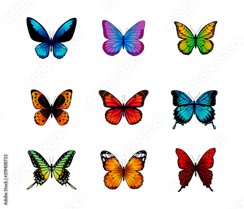 Wallpaper Mural Butterflies isolated on white background. Torontodigital.ca