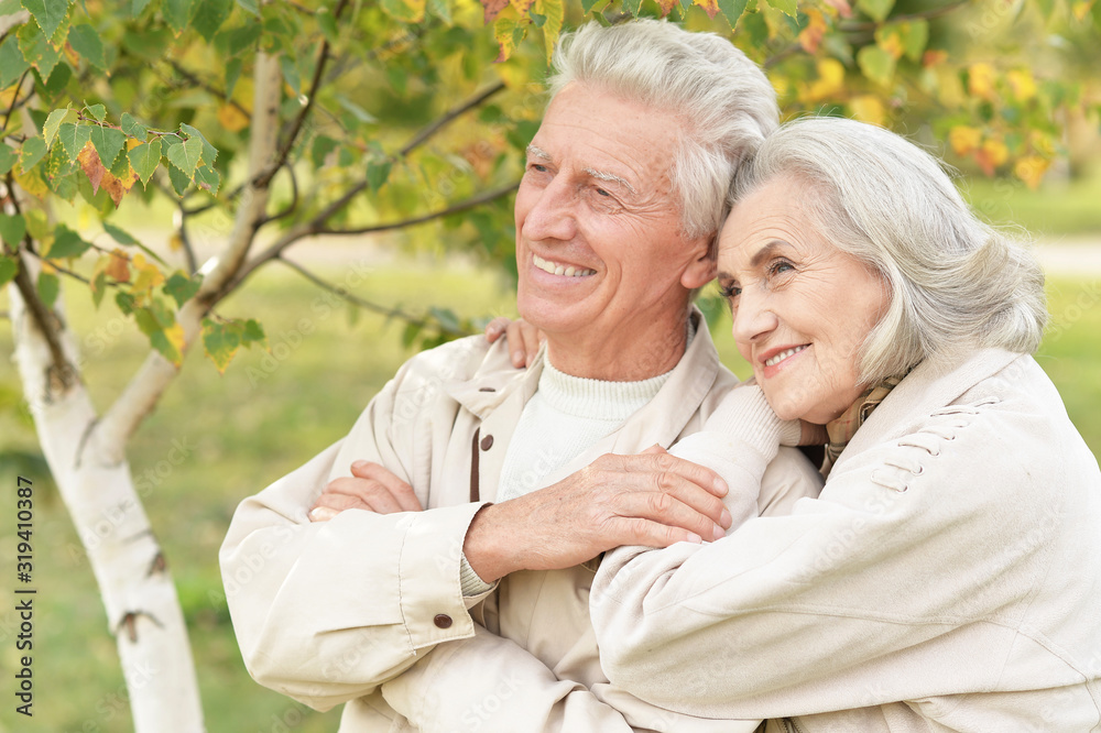 Beautiful senior couple hugging in the park Beautiful senior couple hugging in the park