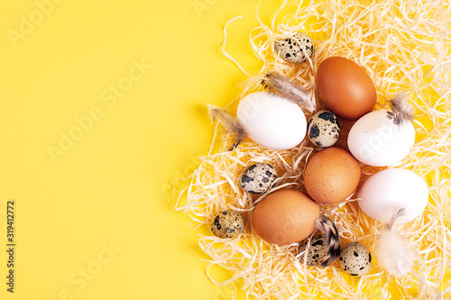Easter concept. White and brown chicken eggs, quail eggs with feathers on a yellow background. Copy spase, close up, top veiw