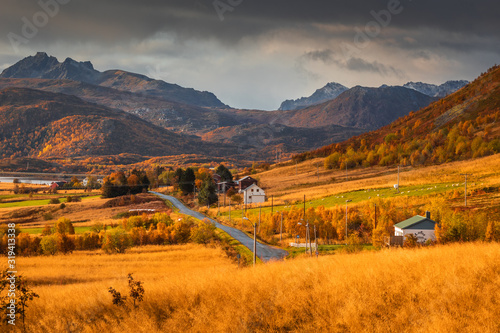Autumn in Lofoten wiht pretty colours and great light. Norway landscapes with mountains. © PawelUchorczak