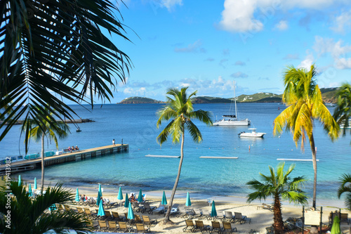 Frenchman's cove, St. Thomas, United States Virgin Islands, Caribbean Sea Coastline, Vacation Destination, Beach With Palm Trees, Tropical Travel, Scenic Waterfront