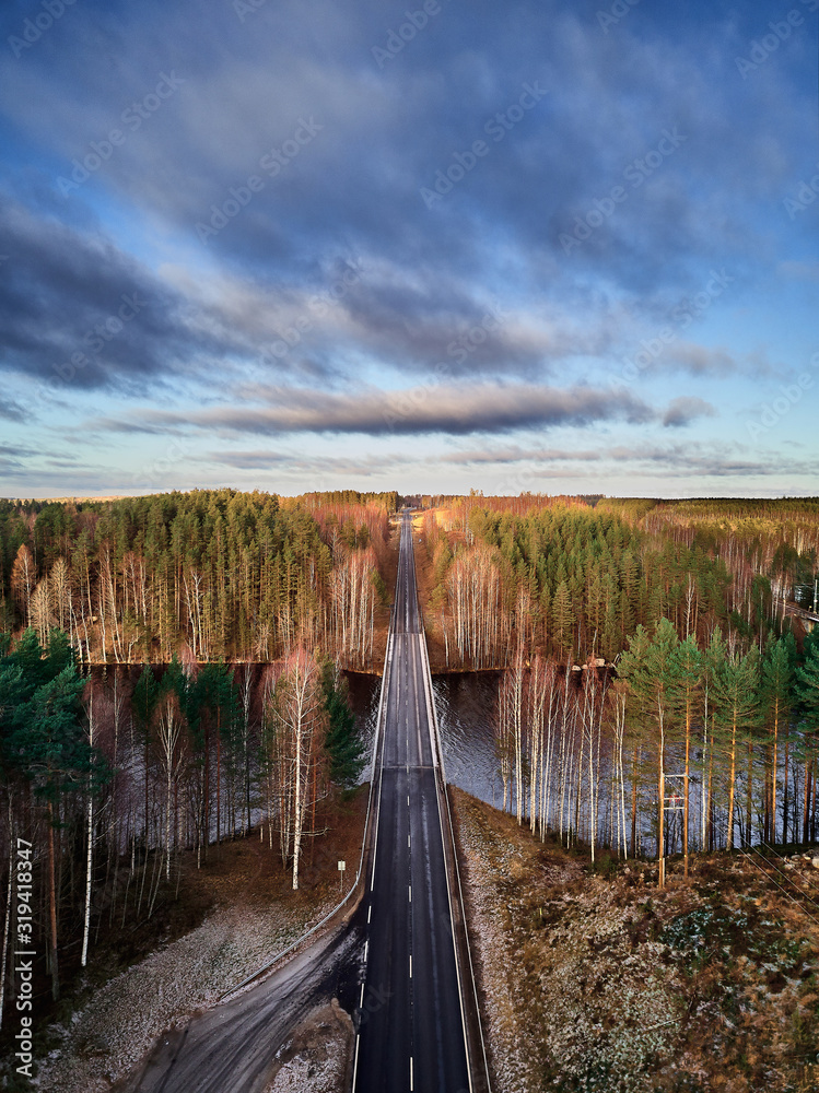 Aerial view of a road and bridge over the river in the autumn forest.