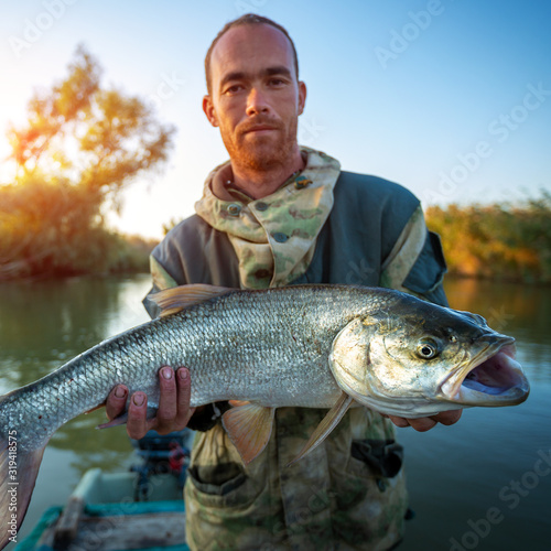 Young angler holds Asp fish (Aspius aspius) being on the river in Astrakhan Region, Russia