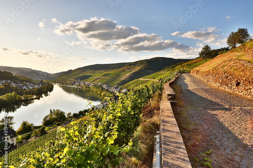 Mosellandschaft bei Zell, Deutschland
