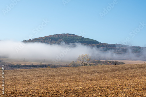 Мystical day foggy landscape. The fog which is low creeping on a harvested field, а hill with forest and clear blue sky in the background.