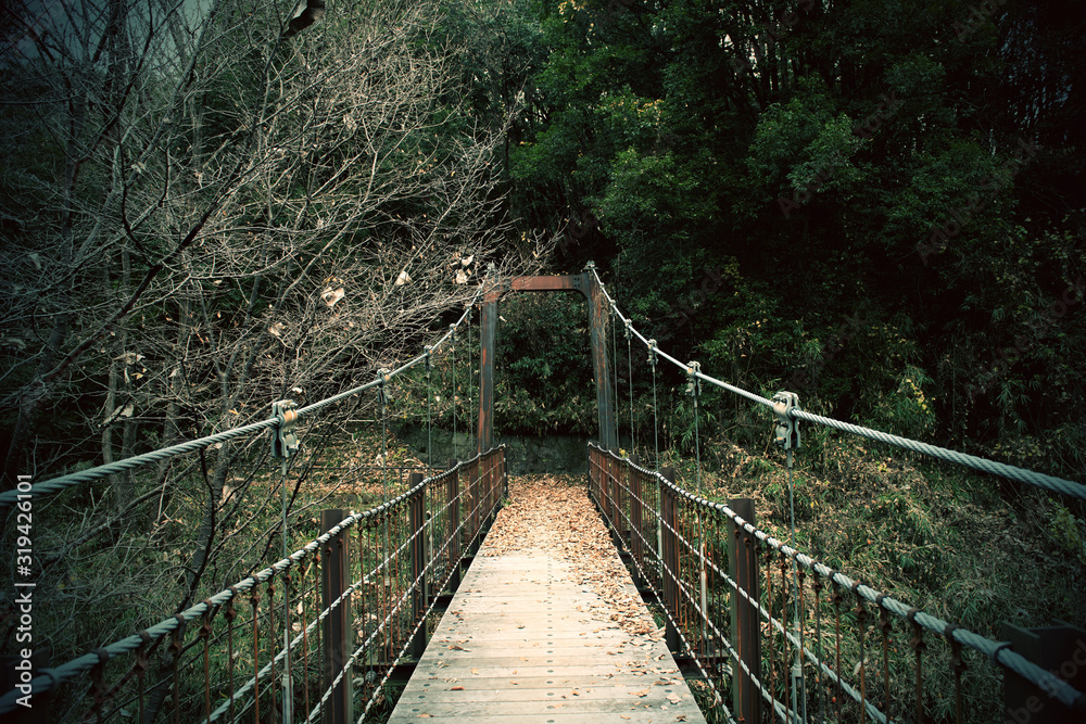 公園の中にある吊り橋