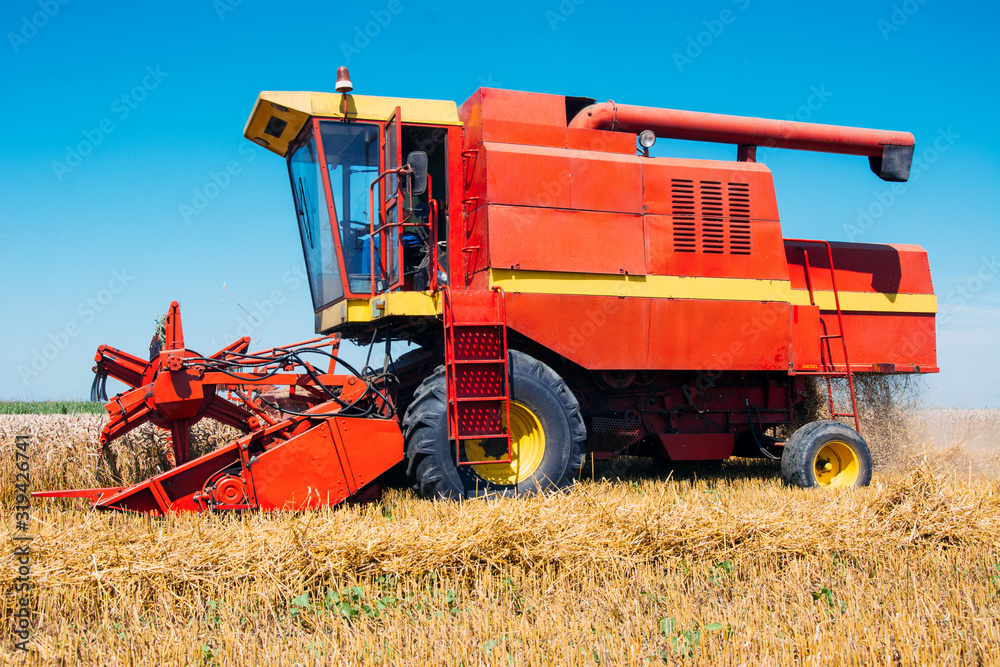 Combine harvesting in a field of golden wheat. Combine harvesting in a field of golden wheat.