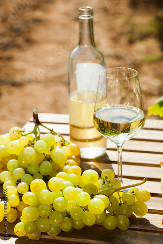 still life with glass of White wine grapes and bread on table in field