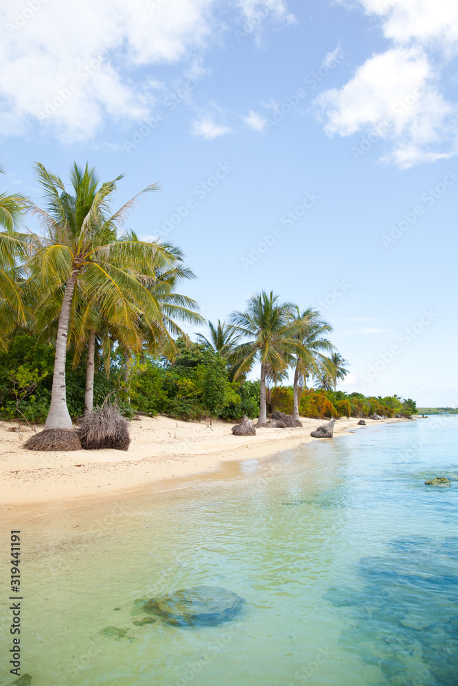 Obraz premium White sand beach and palm trees. Caramoan Islands, Philippines.