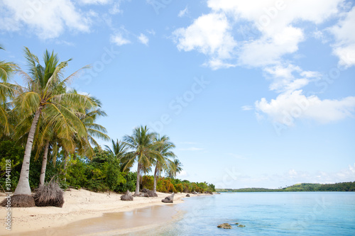 White sand beach and palm trees. Caramoan Islands, Philippines. © Tatiana Nurieva