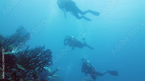 Scuba divers and coral reef with fishes in blue sea. Tropical underwater seascape with coral reef. Leyte, Philippines.