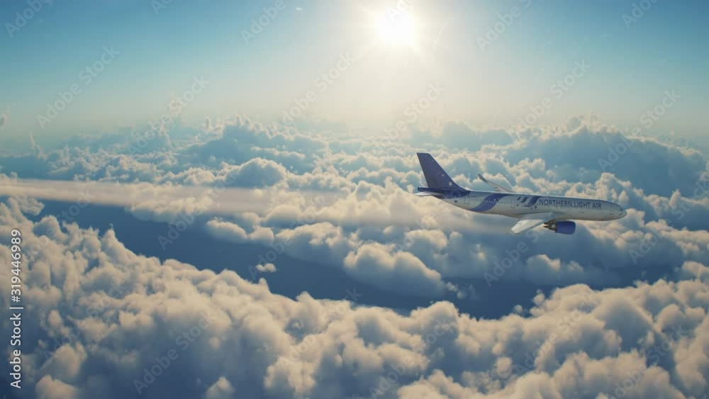 Aerial of passenger jet. The 