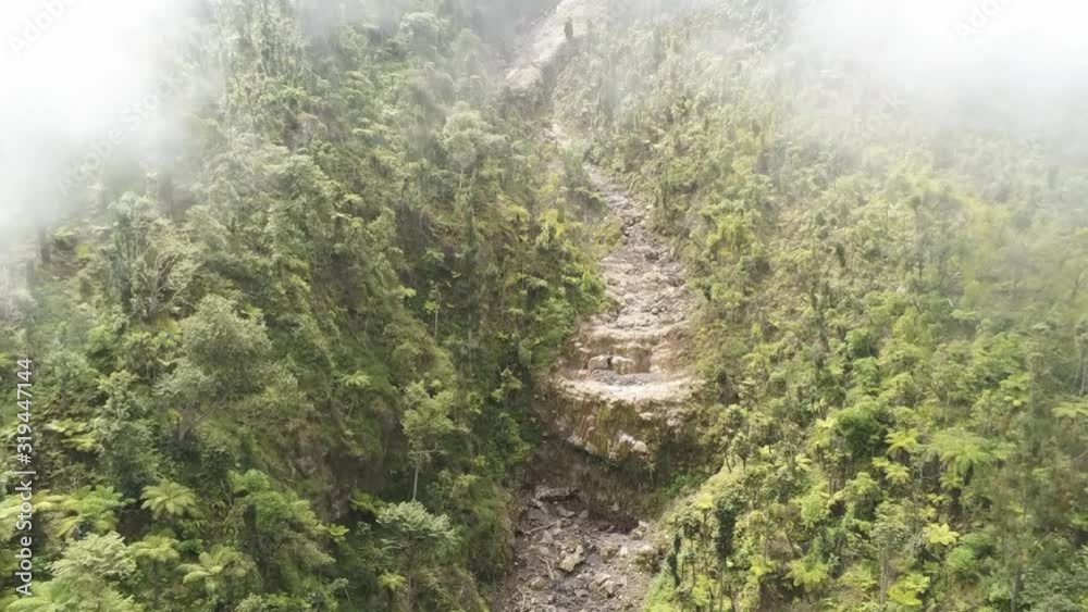 a frozen lava river flowing through a rainforest a frozen lava river flowing through a rainforest