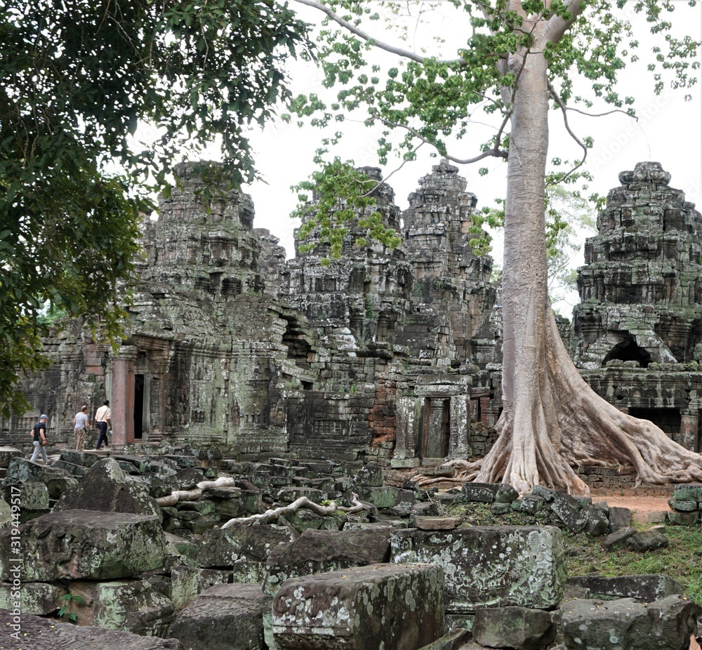 Fototapeta premium Ancient temple complex, big tree overgrow the old Stones and some tourists Walking in the building