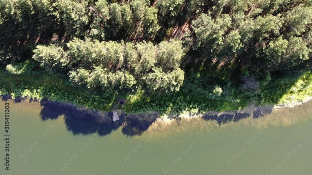 4k aerial top down view shoreline of lake in a pine forest in Sunny summer day