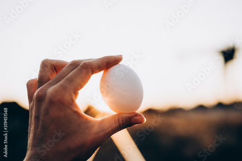 chicken egg in hand on sunset background, selective focus, film and grain photo
